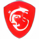 MSI
